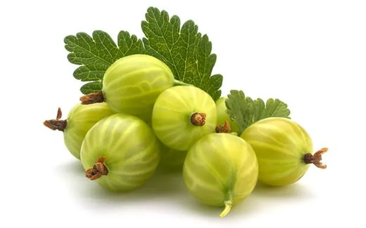 Amla (Emblica officinalis)